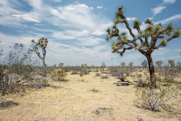 138 La Brisa Road, Yucca Valley, CA 92284