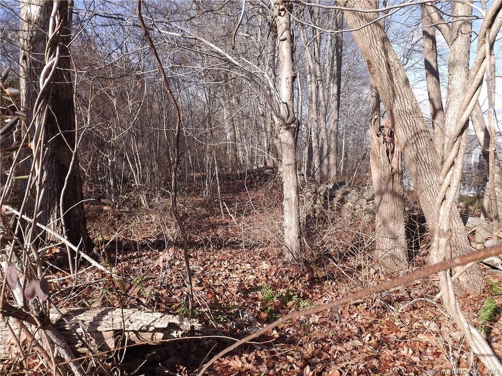 002 Vacant Land Map 59 Lot 02 41 Bushy Hill, Essex, CT 06442 BHGRE