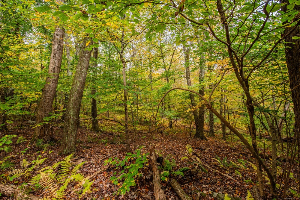 00 Birch Hill Road, Harwinton, CT 06791 BHGRE