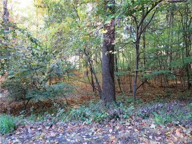 17 Old Bethel Road, Newtown, CT 06470 - Image #1