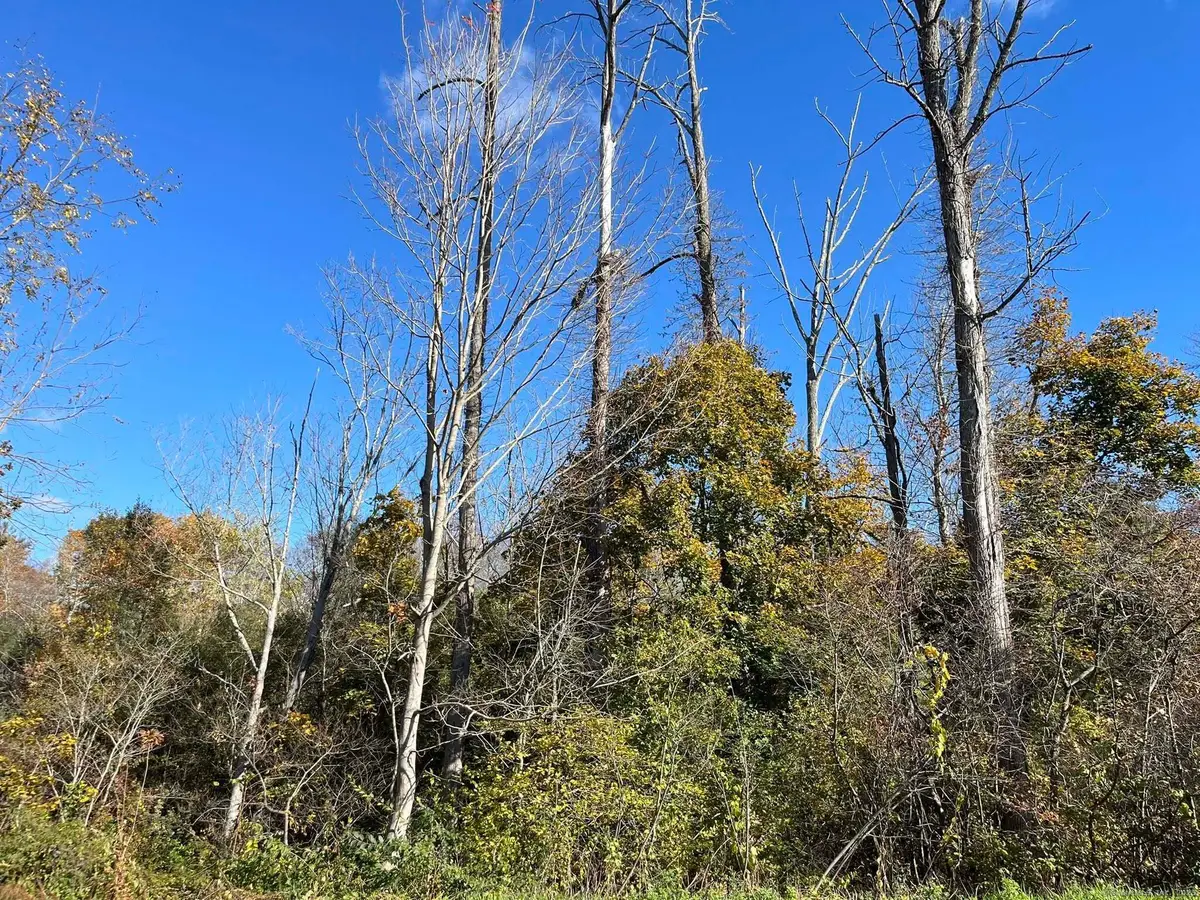 200 W. West Hill Rd Road, Barkhamsted, CT 06063 - Image #1