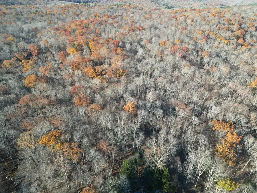 Middle Turnpike, Mansfield, CT 06268 - Image #3