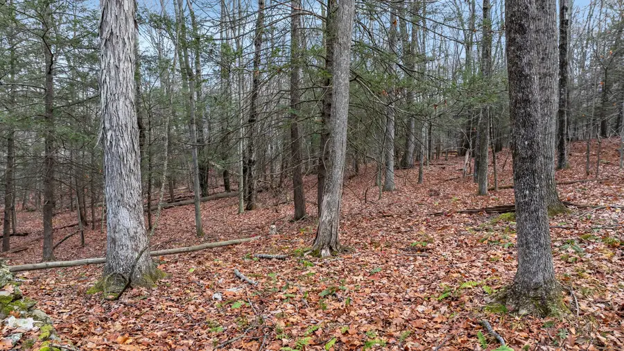 204 North Street #Lot 3, Roxbury, CT 06783 - Image #3