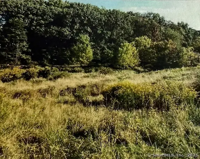 201 New Cheshire Road, Wallingford, CT 06492 - Image #2