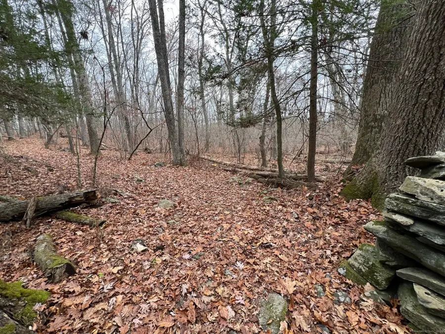 Wilsonville Road, Thompson, CT 06277 - Image #2