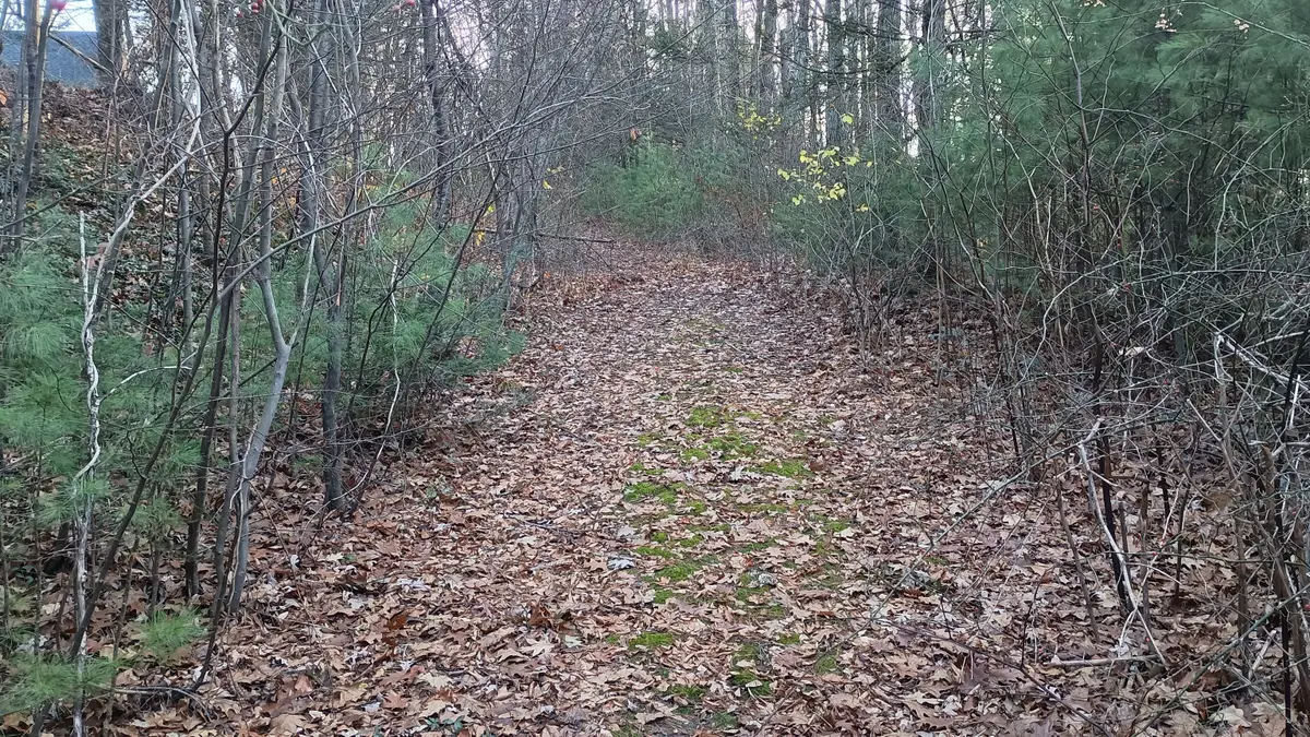 Campville Hill Road, Harwinton, CT 06791 - Image #1