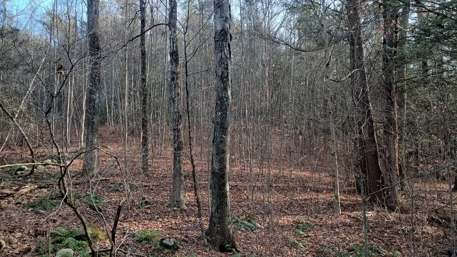 Campville Hill Road, Harwinton, CT 06791 - Image #2