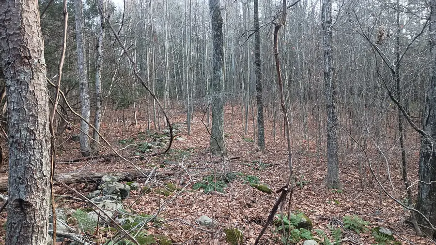 Campville Hill Road, Harwinton, CT 06791 - Image #3