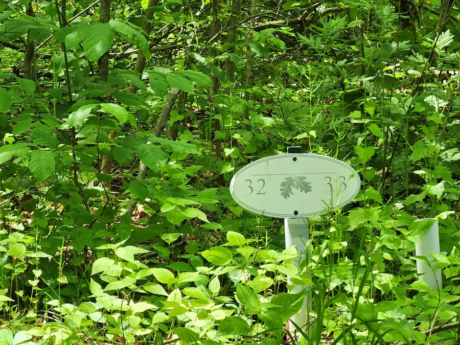 11 Old Paddock Lane, Kent, CT 06757 - Image #3