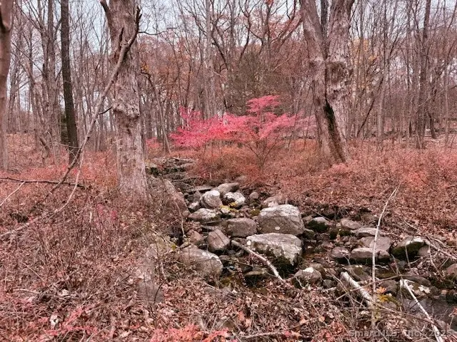 72D Walnut Street, Seymour, CT 06483 - Image #3