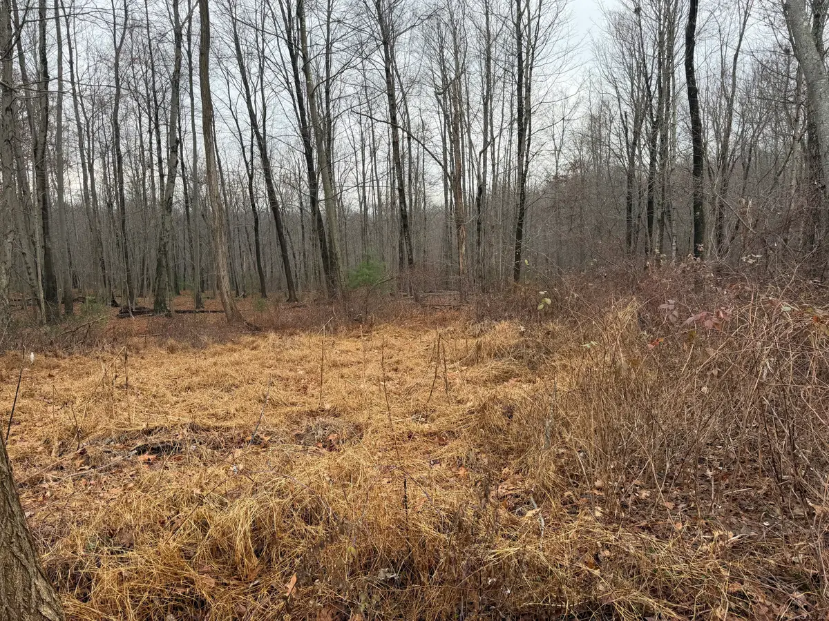 312 Merrow Road, Tolland, CT 06084 - Image #1