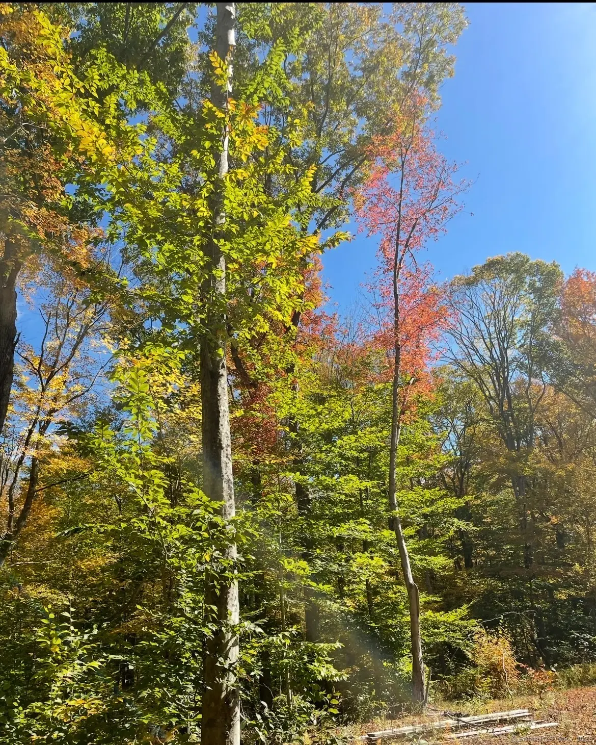 Brook Road #lot 4, Hampton, CT 06247 - Image #1