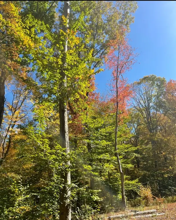 Brook Road #lot 4, Hampton, CT 06247