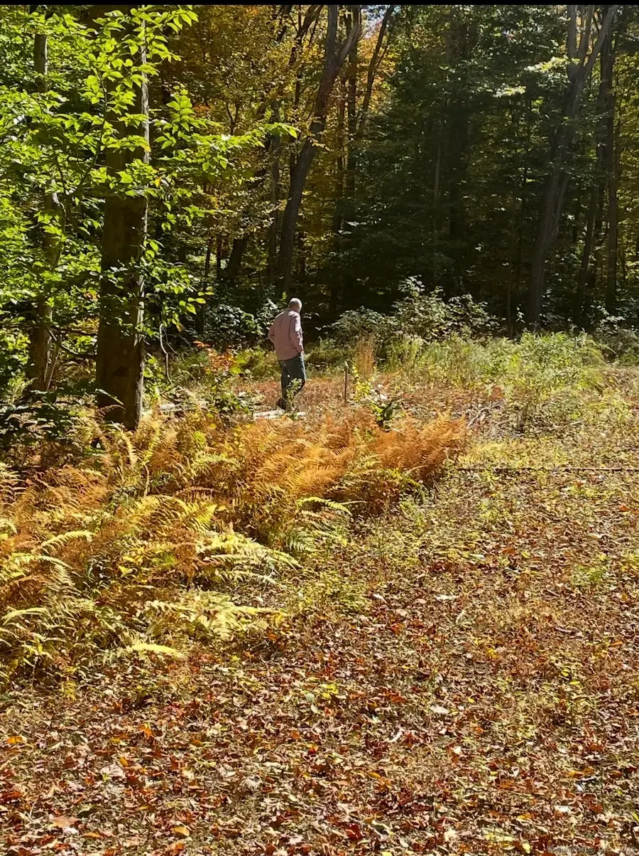 Brook Road #lot 4, Hampton, CT 06247 - Image #2