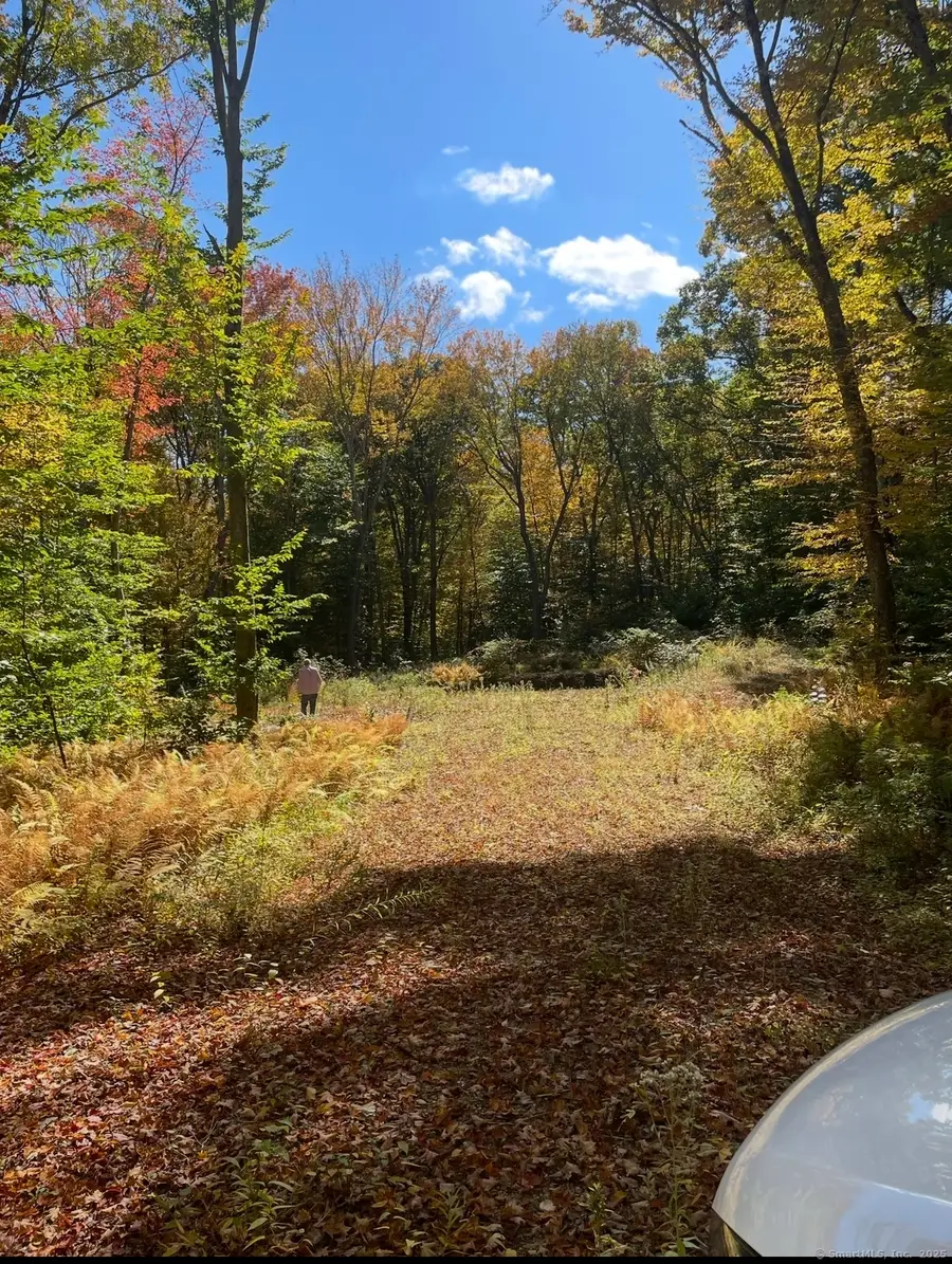 Brook Road #lot 4, Hampton, CT 06247 - Image #3