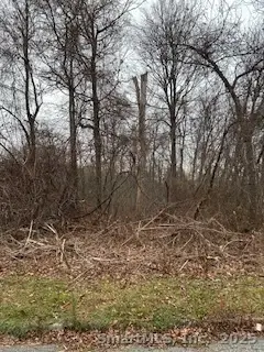 28 Tower Lane, Naugatuck, CT 06770 - Image #2