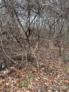 28 Tower Lane, Naugatuck, CT 06770 - Image #3