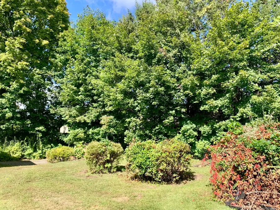 5 Green Avenue, Danbury, CT 06810 - Image #3