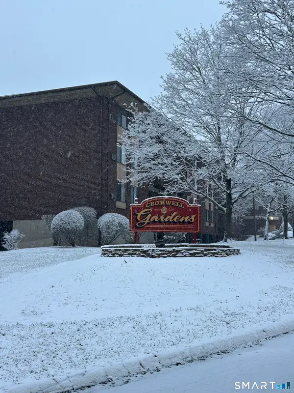 1205 Cromwell Hills Drive #1205, Cromwell, CT 06416