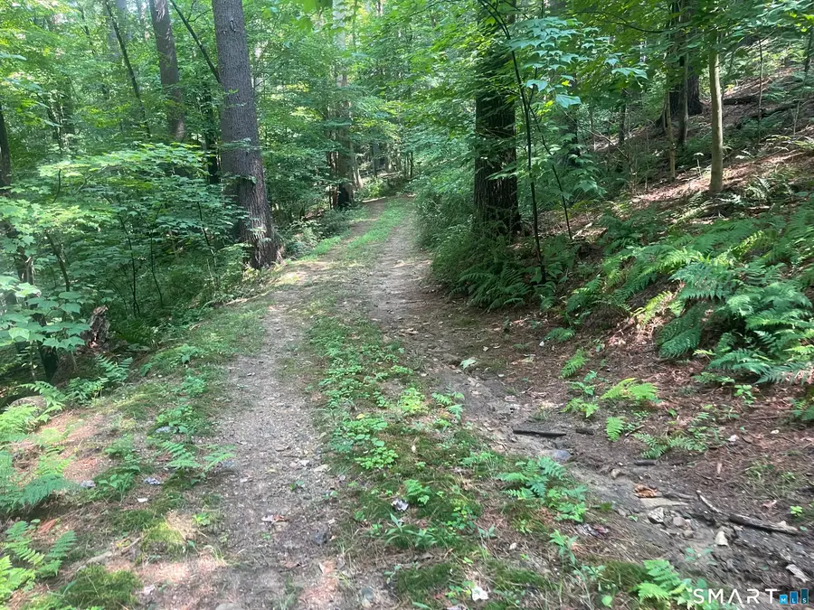 Railroad Street, Cornwall, CT 06753 - Image #3