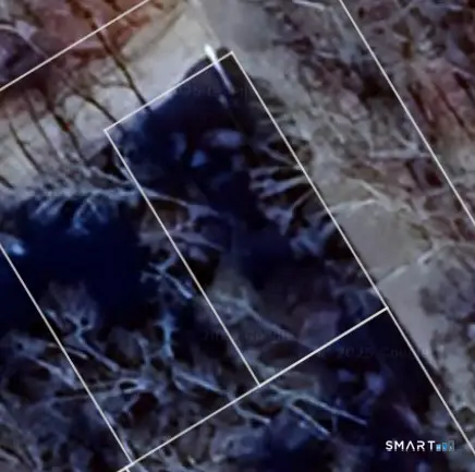 Hinkel Mae Drive, Coventry, CT 06238 - Image #1