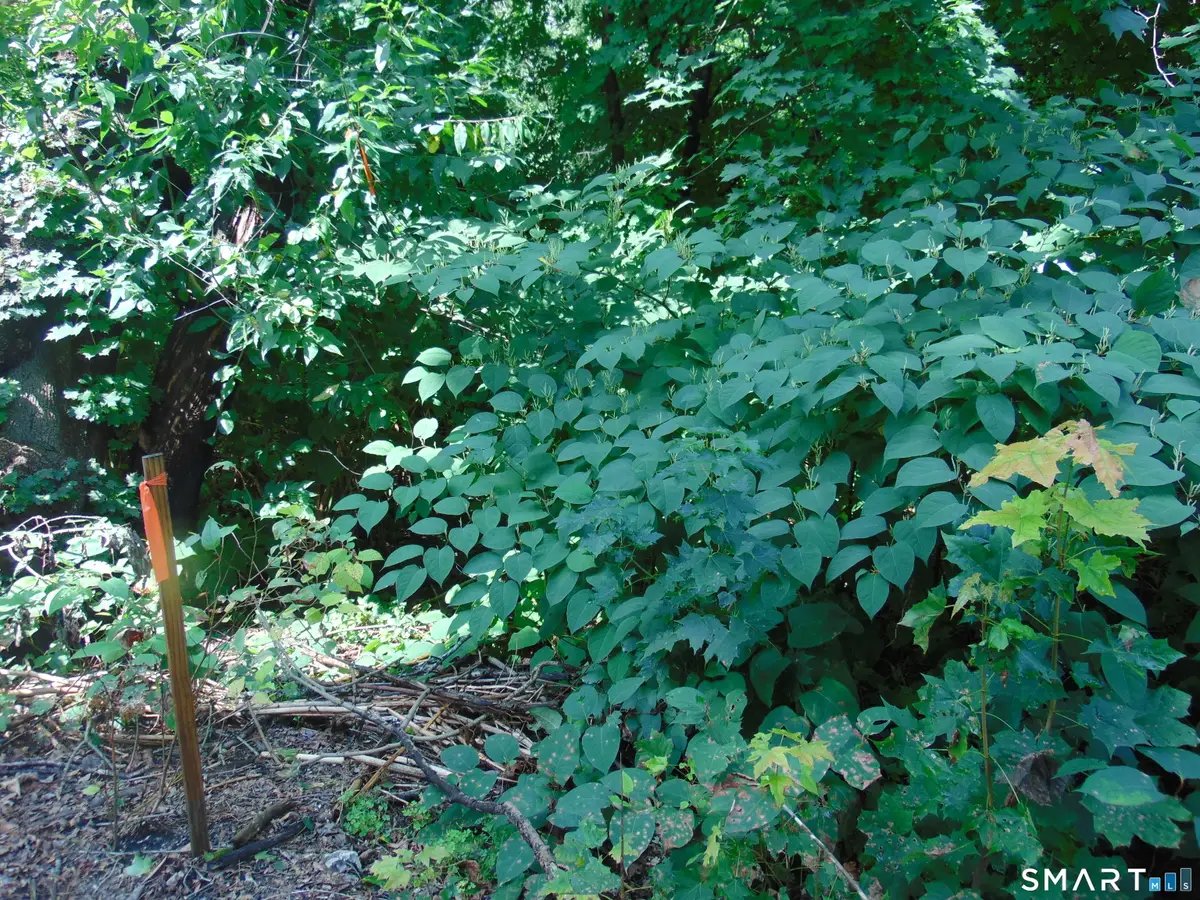 Address Withheld By Seller, Waterbury, CT 06704 - Image #1