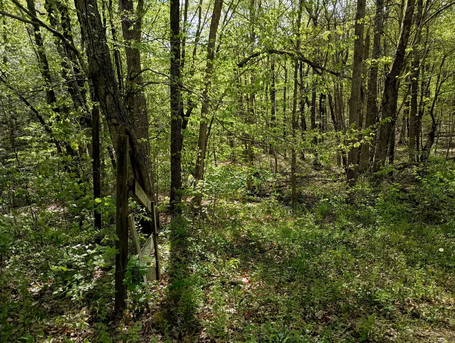 Litchfield Road, Watertown, CT 06795 - Image #3