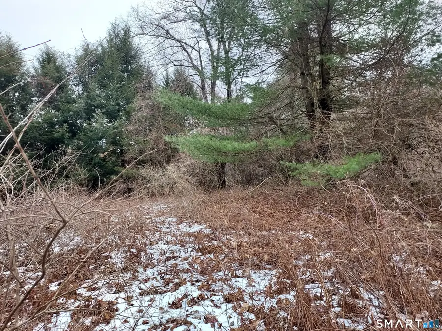 8 Times Farm Road, Andover, CT 06232 - Image #3