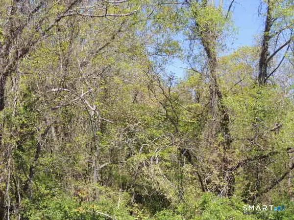 47,47R,63,65R Coleman Street, West Haven, CT 06516