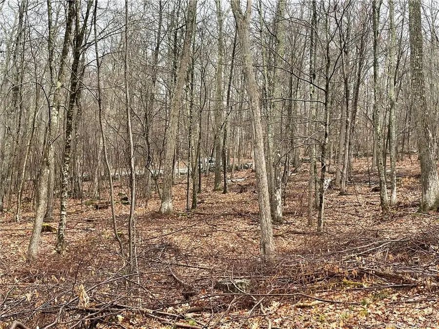 Westwoods Road # 2, Sharon, CT 06069 - Image #3