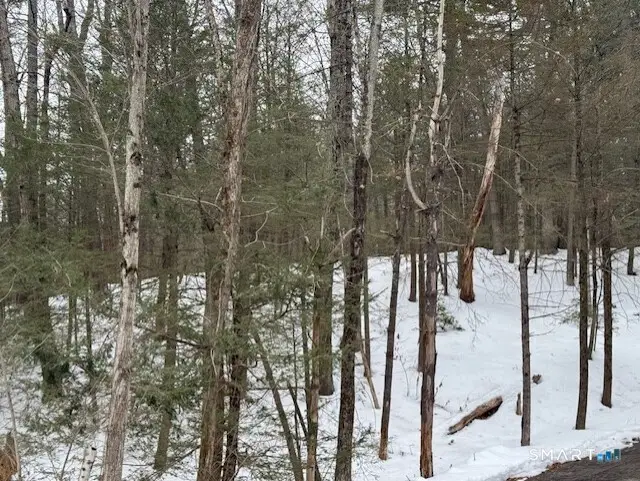 52 Shingle Mill Road, Simsbury, CT 06092 - #2