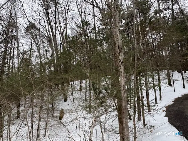 52 Shingle Mill Road, Simsbury, CT 06092 - #3