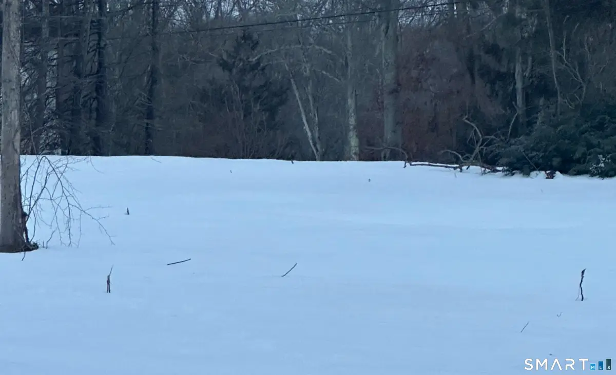 Lot 2 Aldens Crossing, East Hampton, CT 06424 - #1