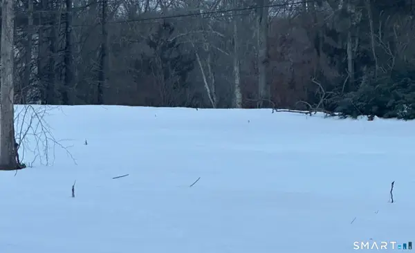 Lot 2 Aldens Crossing, East Hampton, CT 06424