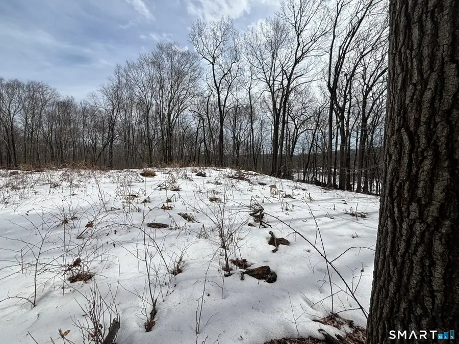 40 Running Brook Road, Waterbury, CT 06704 - #2