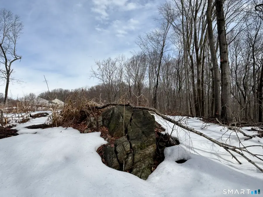 40 Running Brook Road, Waterbury, CT 06704 - #3