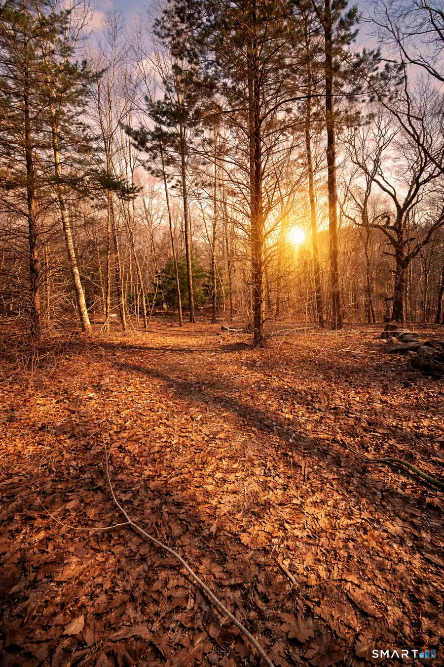 17 Mckay Street, Norwich, CT 06360 - #3