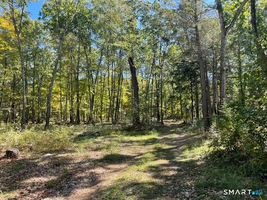 Kozey Road, Eastford, CT 06242 - #3