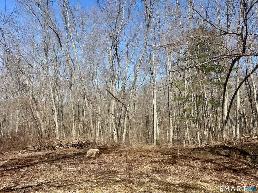 Reilly Road, Hampton, CT 06427 - #2