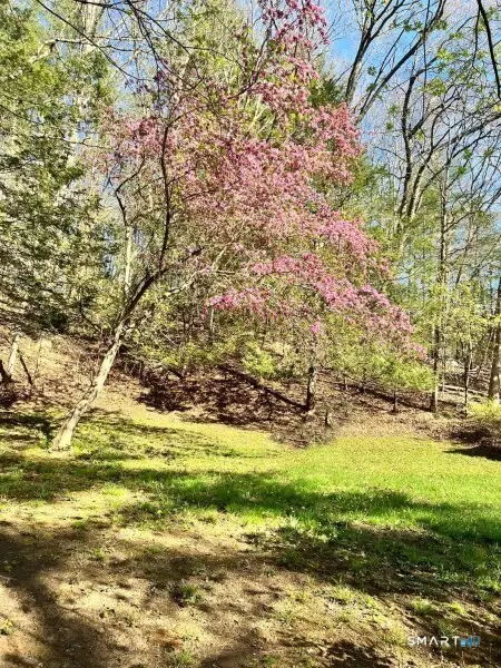 23 Baxter Road, Willington, CT 06279 - #3