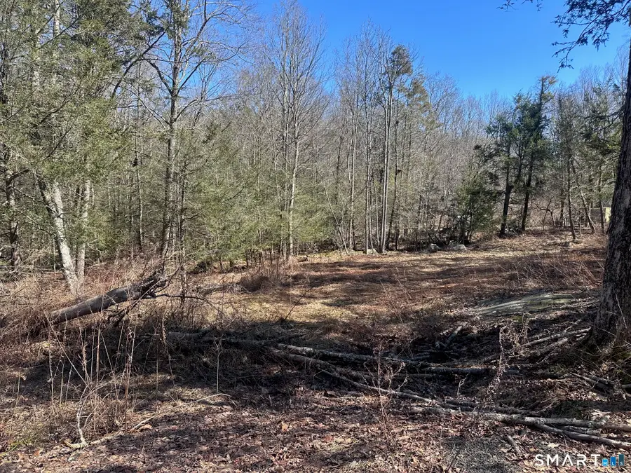 302 Gillette Road, New Hartford, CT 06057 - #2