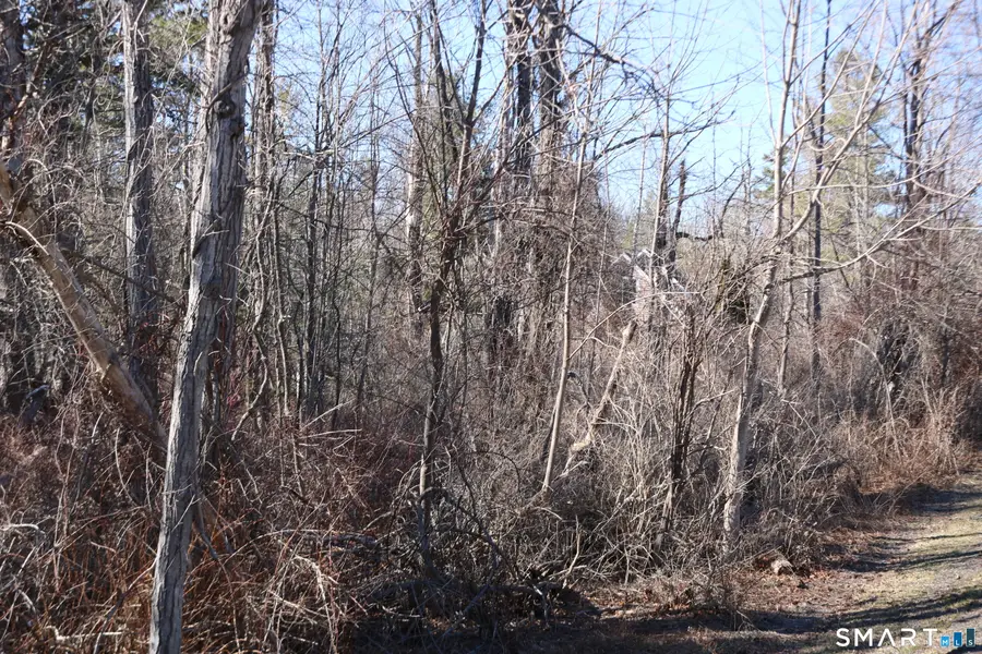 Ashley Drive, Goshen, CT 06756 - #3