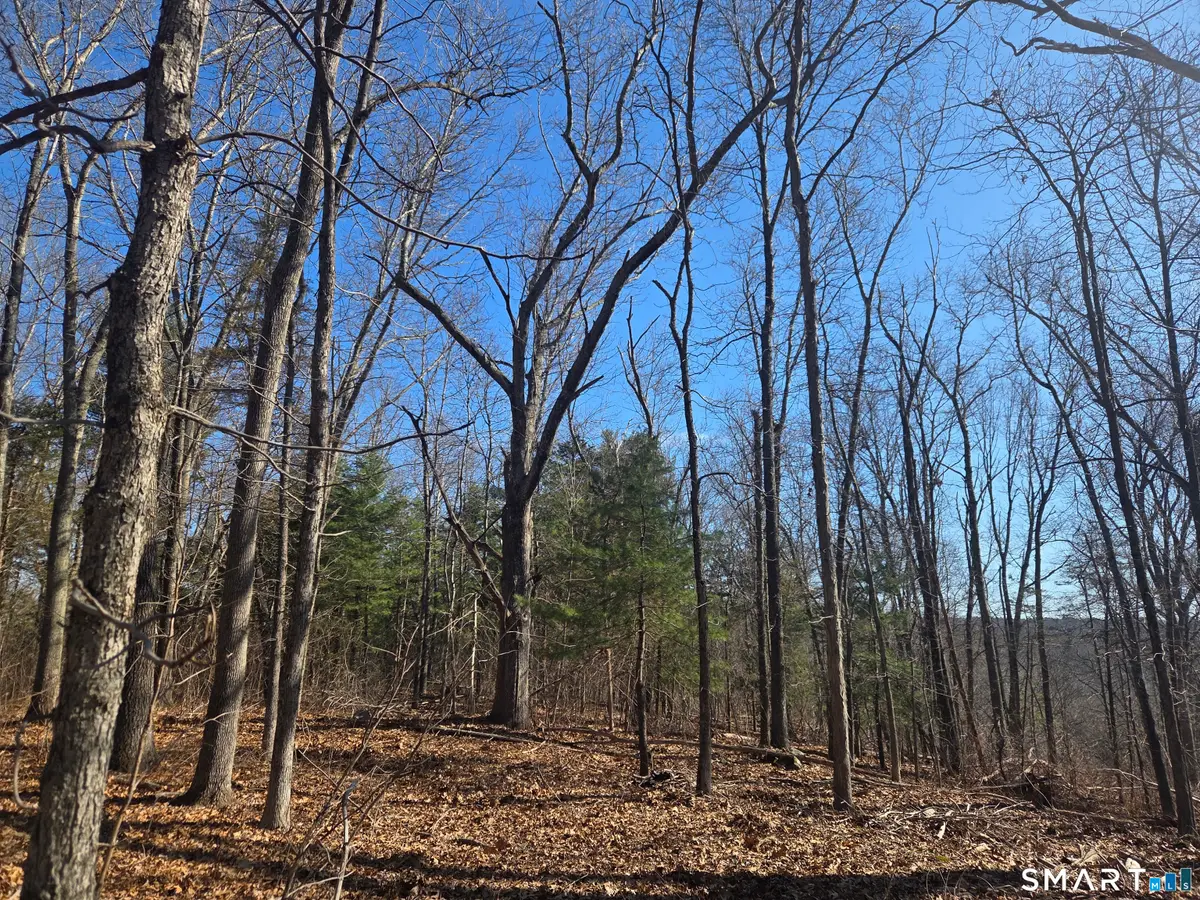 0 Green Hollow Road Road, Plainfield, CT 06354 - #1