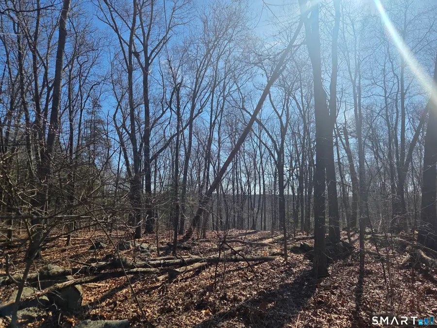 0 Green Hollow Road Road, Plainfield, CT 06354 - #2