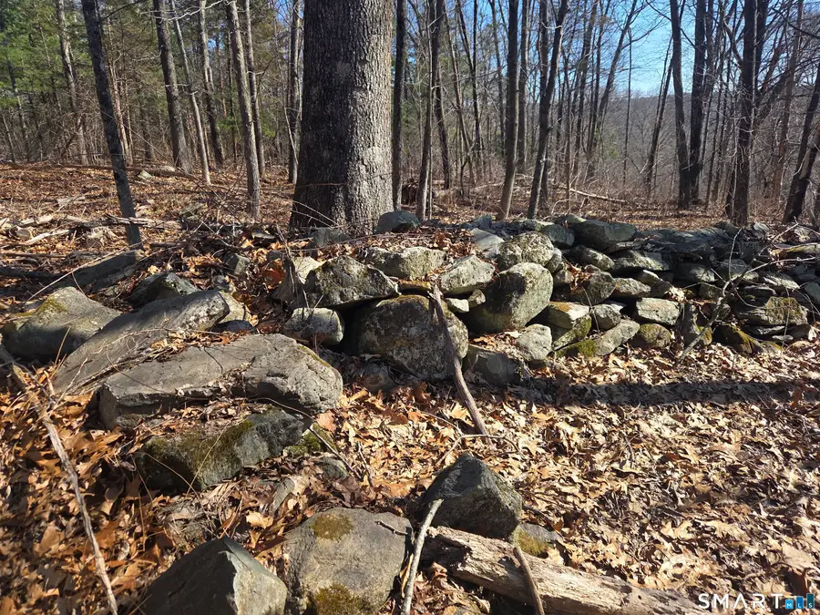 0 Green Hollow Road Road, Plainfield, CT 06354 - #3