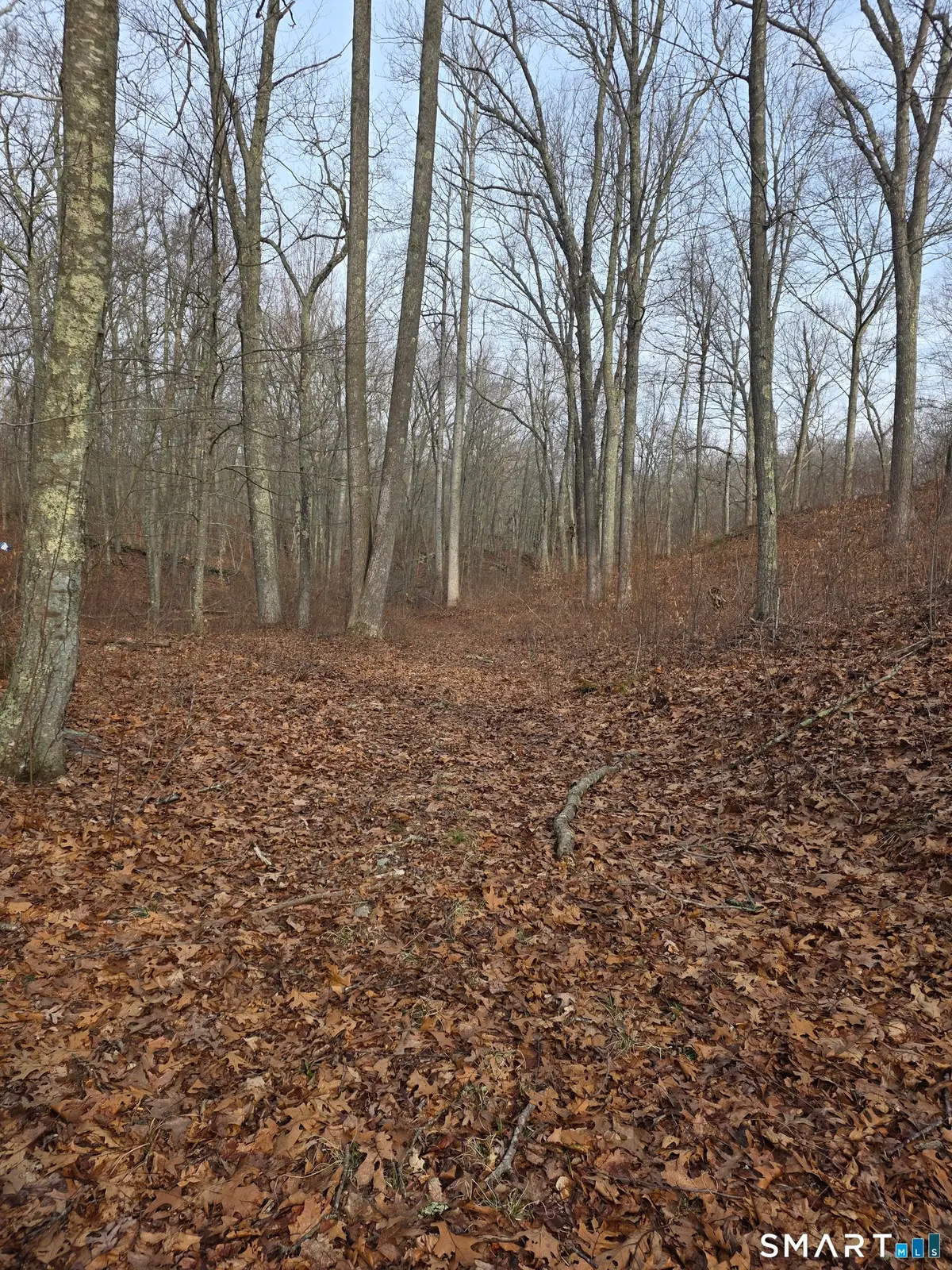 Brainard Road, Westbrook, CT 06498 - #1