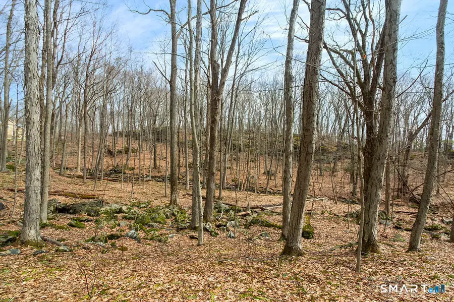 10 Chimney Hill Road, Sherman, CT 06784 - #3