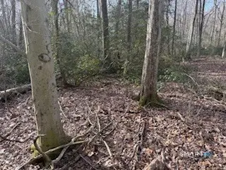 Swain Johnson Trail #2, Haddam, CT 06438 - #2