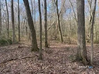 Swain Johnson Trail #2, Haddam, CT 06438 - #3