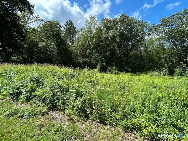 36 Olde Meadow Road, Woodstock, CT 06281